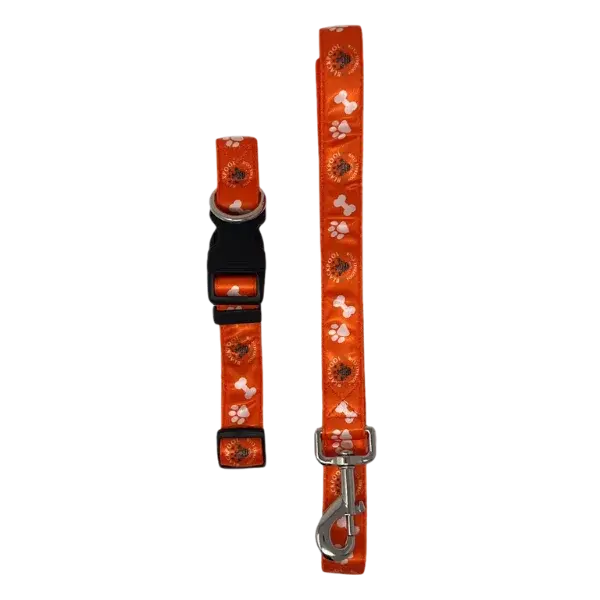 Blackpool dog leash and collar set No Background - 3